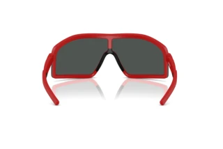 Vista posteriore Ferrari Scuderia FZ6010U (514/87)