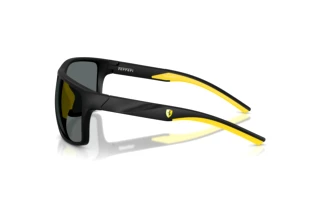 Seitenansicht Ferrari Scuderia FZ6015U (504/81)