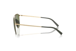 Vue latérale Giorgio Armani AR6110 (30022A)