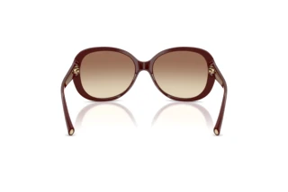 Vue arrière Giorgio Armani AR8047 (639913)