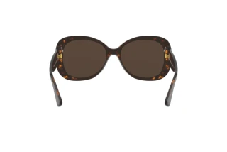 Vue arrière Giorgio Armani AR8132 (502673)