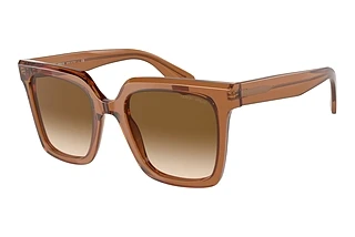 Vista frontale Giorgio Armani AR8156 (593251)