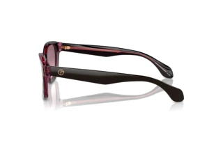 Vue latérale Giorgio Armani AR8207 (60888D)