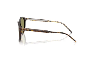 Vue latérale Giorgio Armani AR8211 (587914)