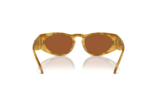 Vue arrière Giorgio Armani AR8216 (597973)