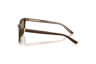 Seitenansicht Giorgio Armani AR8221 (595753)