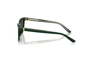 Vue latérale Giorgio Armani AR8221 (617331)