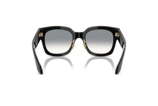 Vista posteriore Giorgio Armani AR8223 (500111)