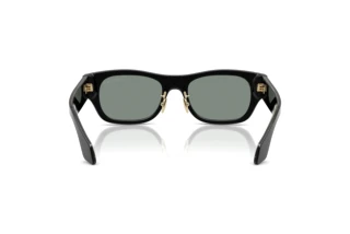 Vue arrière Giorgio Armani AR8224 (500111)