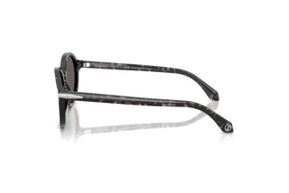 Vista laterale Giorgio Armani AR8237 (6236B1)