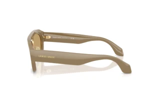 Vue latérale Giorgio Armani AR8239 (622273)