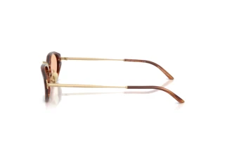 Vue latérale Giorgio Armani AR8242 (616273)