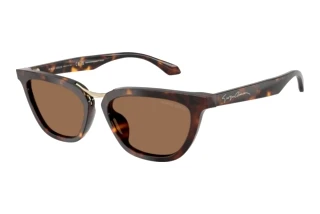 Vue de face Giorgio Armani AR8253U (612473)