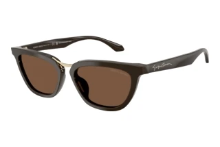 Vista frontale Giorgio Armani AR8253U (639873)