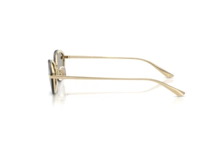 Vista laterale Jimmy Choo JC4020B (30066G)