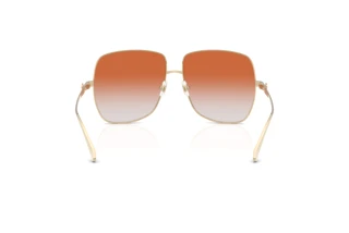 Vue arrière Jimmy Choo JC4030B (3006BU)