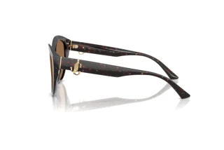 Seitenansicht Jimmy Choo JC5007 (512573)