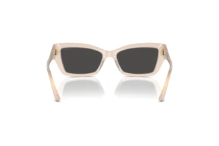 Vue arrière Jimmy Choo JC5011U (502587)