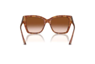 Rückansicht Jimmy Choo JC5012 (511413)