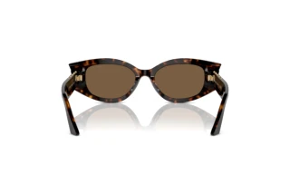 Rückansicht Jimmy Choo JC5015U (500273)