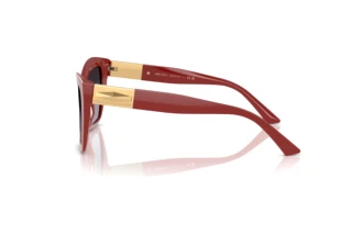 Vue latérale Jimmy Choo JC5031 (50138G)
