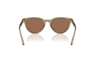 Rückansicht Jimmy Choo JC5043D (505173)