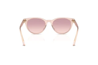Vue arrière Jimmy Choo JC5043D (505268)