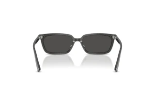 Rückansicht Jimmy Choo JC5050U (512287)