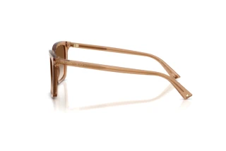 Seitenansicht Jimmy Choo JC5051 (507613)