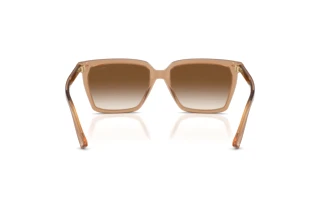 Rückansicht Jimmy Choo JC5051 (507613)