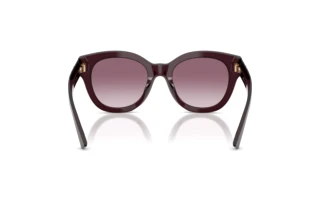 Vue arrière Jimmy Choo JC5053 (50866X)