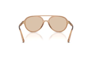 Vista posteriore Jimmy Choo JC5055U (507693)