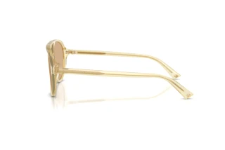 Vue latérale Jimmy Choo JC5055U (5083/8)