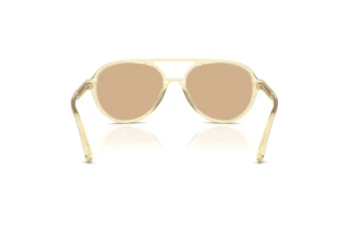 Vue arrière Jimmy Choo JC5055U (5083/8)