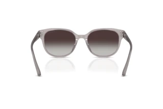 Vue arrière Jimmy Choo JC5057D (50968G)