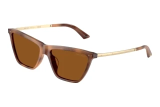 Vista frontale Jimmy Choo JC5059U (509673)