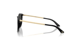 Seitenansicht Jimmy Choo JC5060 (500087)