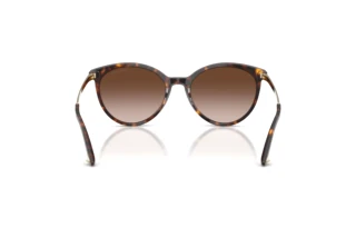 Vue arrière Jimmy Choo JC5060 (500213)