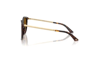Vue latérale Jimmy Choo JC5060 (500283)