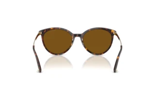 Vue arrière Jimmy Choo JC5060 (500283)