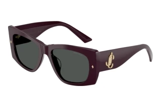 Vorderansicht Jimmy Choo JC5061U (507587)