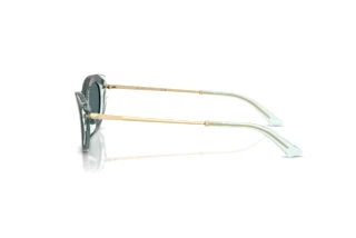 Vue latérale Jimmy Choo JC5065U (510487)