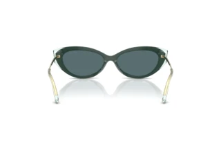Vue arrière Jimmy Choo JC5065U (510487)