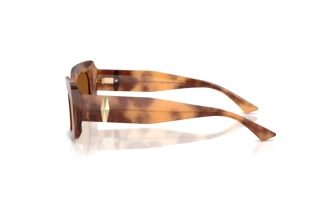 Seitenansicht Jimmy Choo JC5067 (509673)