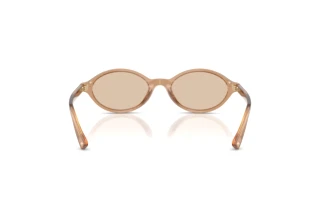 Vue arrière Jimmy Choo JC5068U (507693)