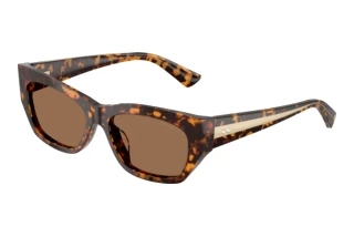 Vista frontale Jimmy Choo JC5071BU (512173)