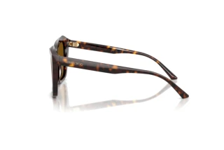 Vue latérale Jimmy Choo JC5076 (500283)