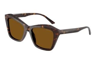 Vue de face Jimmy Choo JC5076 (500283)