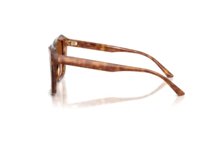 Seitenansicht Jimmy Choo JC5076 (511413)