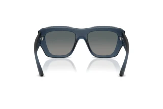 Vista posteriore Jimmy Choo JC6003U (50906I)